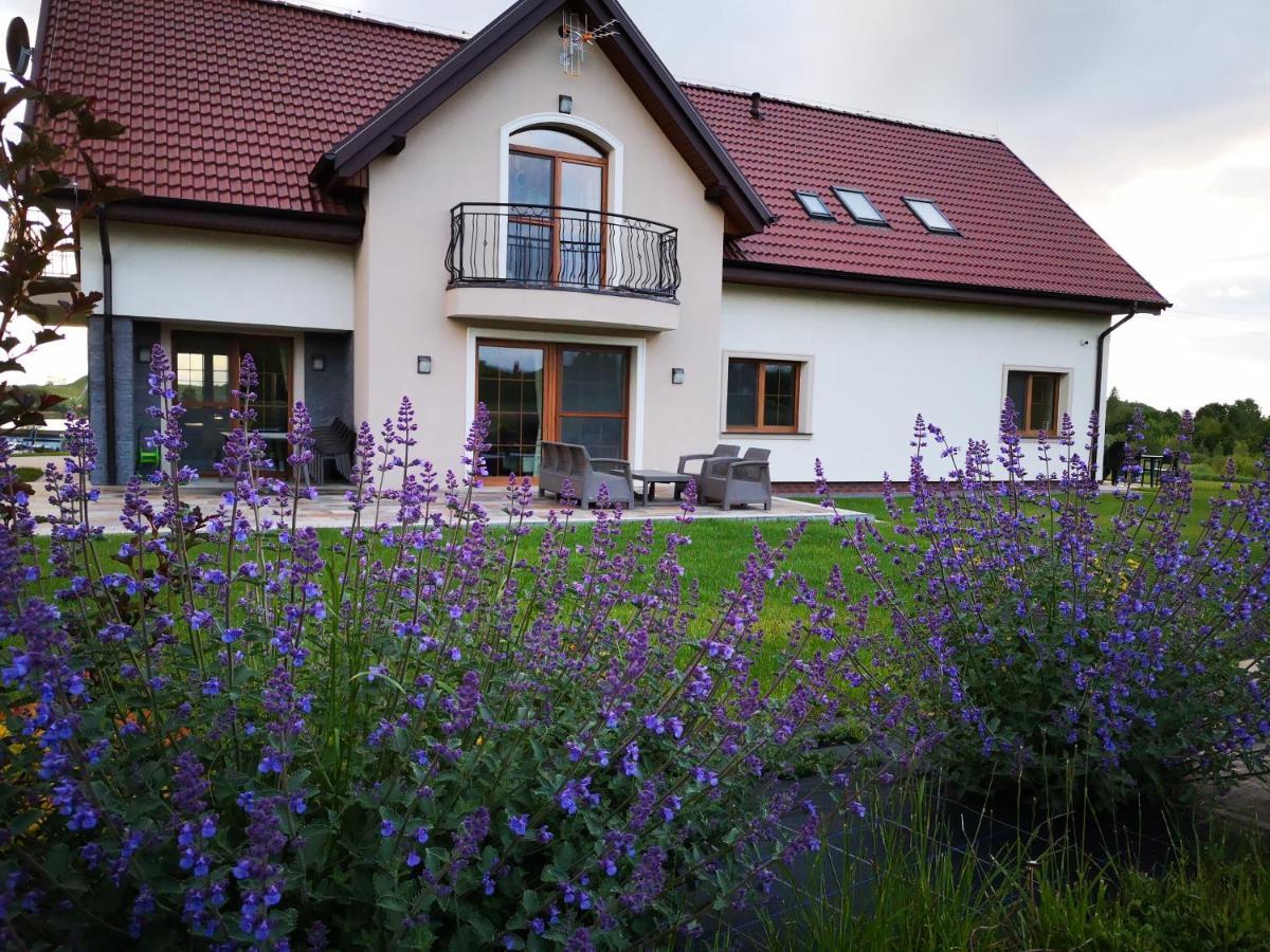 Apartamenty, Zielone Wzgórze Wiktora W Mikołajkach Mikołajki