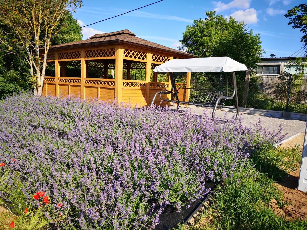 Apartamenty, Zielone Wzgórze Wiktora W Mikołajkach Apartament Mikołajki